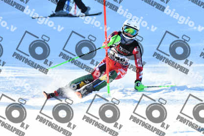 PER ACQUISTARE I FILE