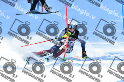 PER ACQUISTARE I FILE