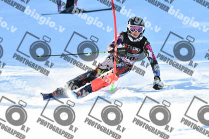 PER ACQUISTARE I FILE