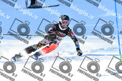 PER ACQUISTARE I FILE