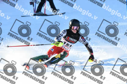 PER ACQUISTARE I FILE