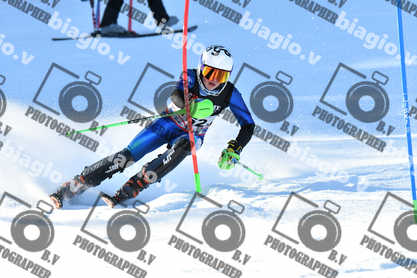 PER ACQUISTARE I FILE