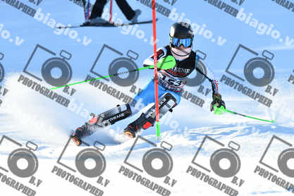 PER ACQUISTARE I FILE