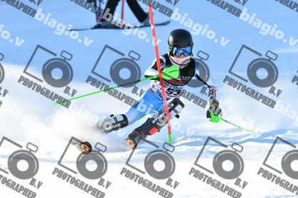 PER ACQUISTARE I FILE