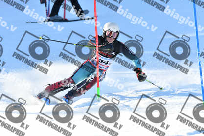 PER ACQUISTARE I FILE