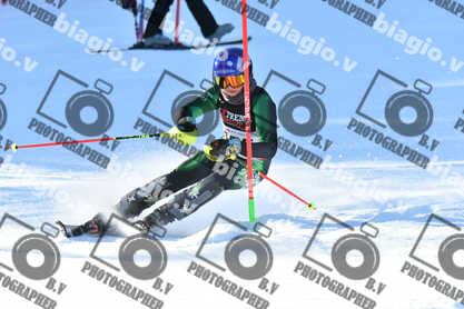 PER ACQUISTARE I FILE