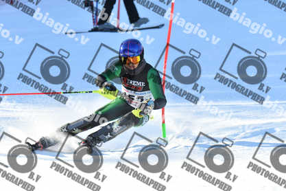 PER ACQUISTARE I FILE