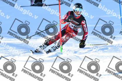 PER ACQUISTARE I FILE