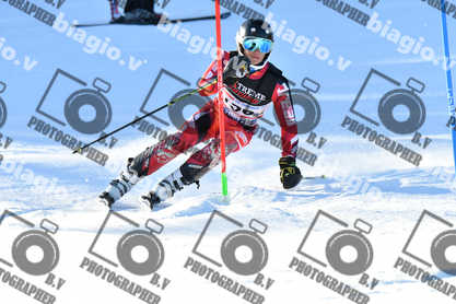 PER ACQUISTARE I FILE