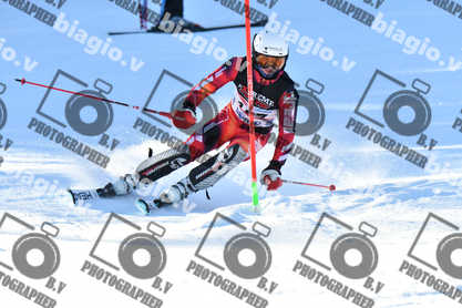 PER ACQUISTARE I FILE