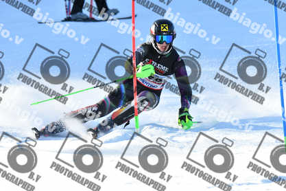 PER ACQUISTARE I FILE