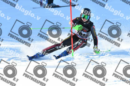 PER ACQUISTARE I FILE