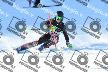 PER ACQUISTARE I FILE