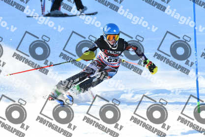 PER ACQUISTARE I FILE