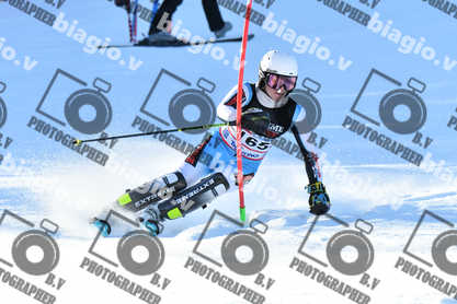 PER ACQUISTARE I FILE