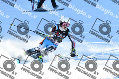 PER ACQUISTARE I FILE