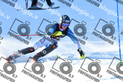 PER ACQUISTARE I FILE