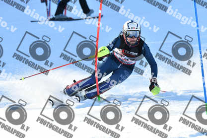 PER ACQUISTARE I FILE