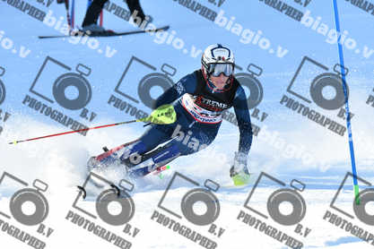 PER ACQUISTARE I FILE