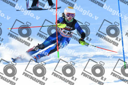 PER ACQUISTARE I FILE