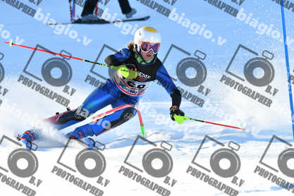 PER ACQUISTARE I FILE