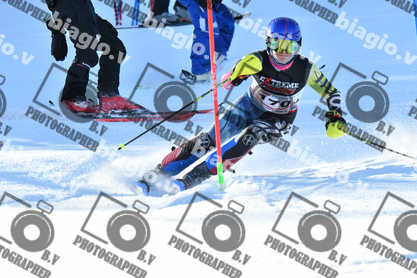 PER ACQUISTARE I FILE