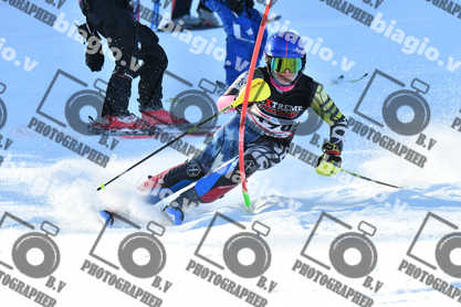 PER ACQUISTARE I FILE