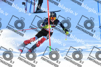 PER ACQUISTARE I FILE