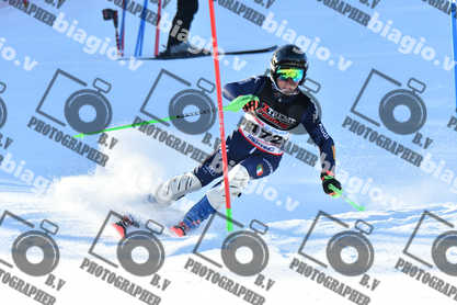 PER ACQUISTARE I FILE