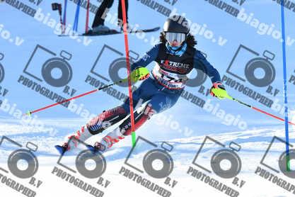 PER ACQUISTARE I FILE