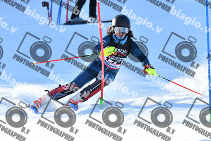 PER ACQUISTARE I FILE