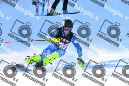 PER ACQUISTARE I FILE