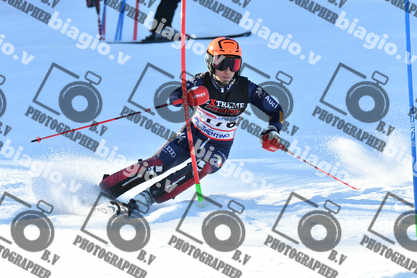 PER ACQUISTARE I FILE