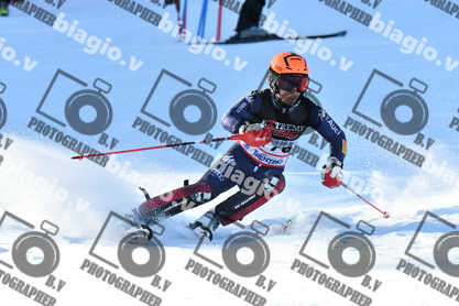 PER ACQUISTARE I FILE