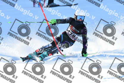 PER ACQUISTARE I FILE