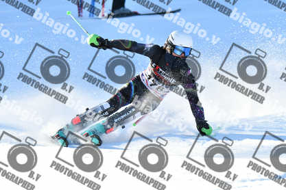 PER ACQUISTARE I FILE