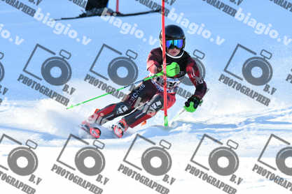 PER ACQUISTARE I FILE