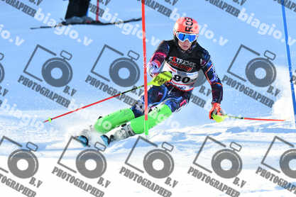 PER ACQUISTARE I FILE