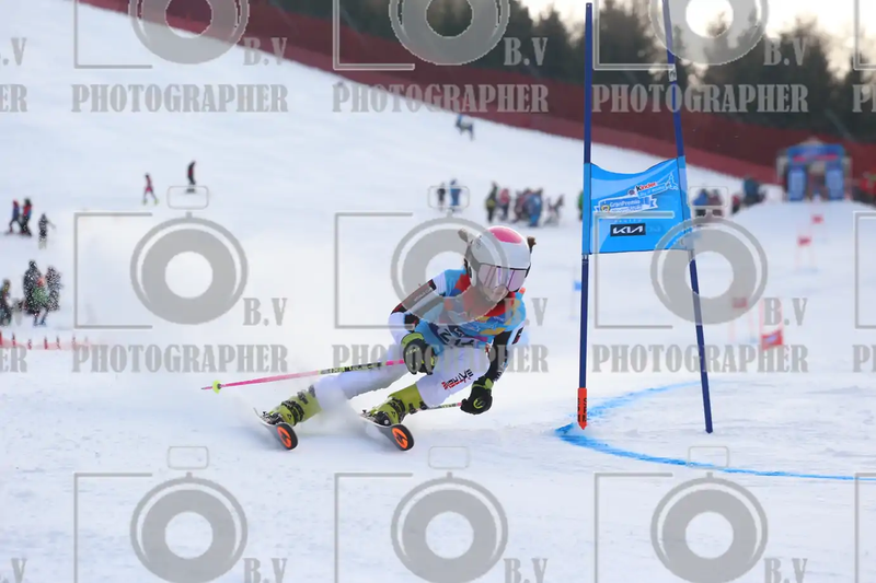 FINALE PROVINCIALE 2026