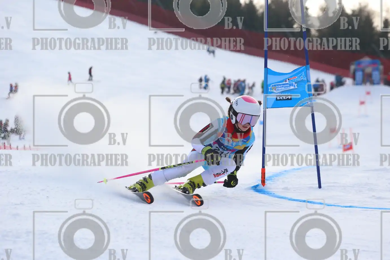 FINALE PROVINCIALE 2026