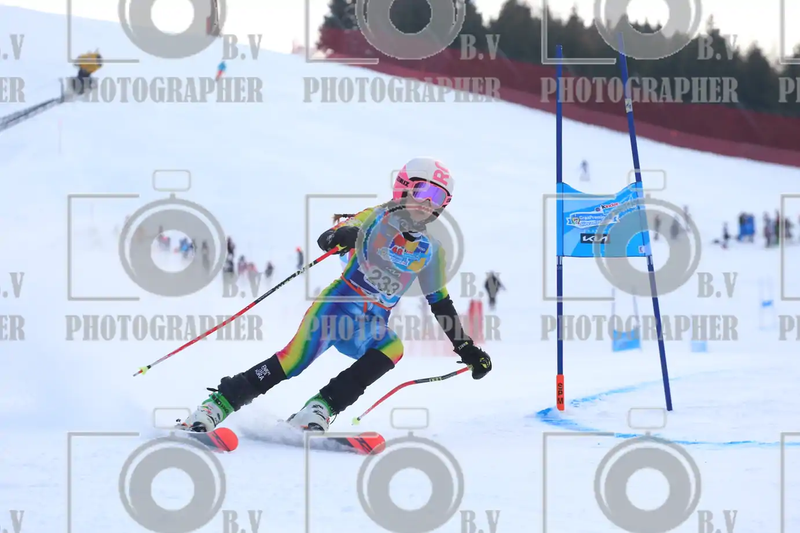 FINALE PROVINCIALE 2026