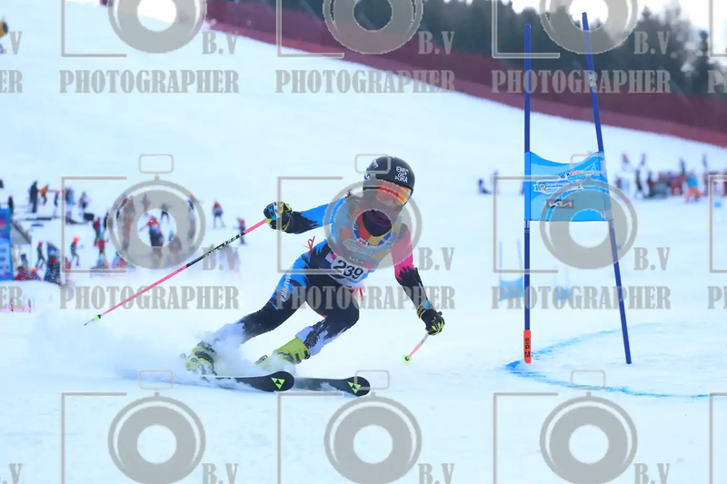 FINALE PROVINCIALE 2026
