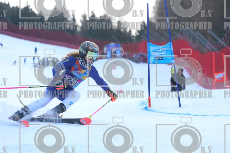 FINALE PROVINCIALE 2026