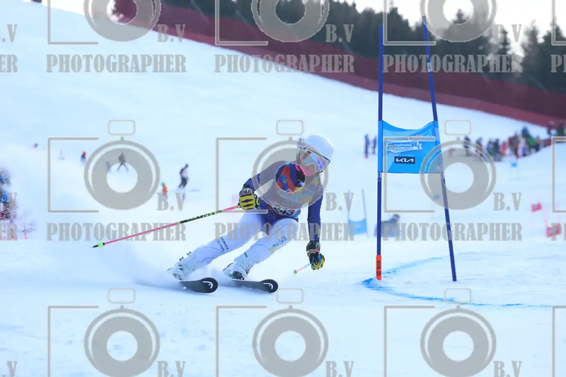FINALE PROVINCIALE 2026