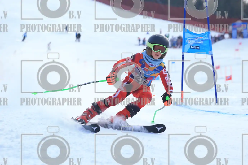 FINALE PROVINCIALE 2026