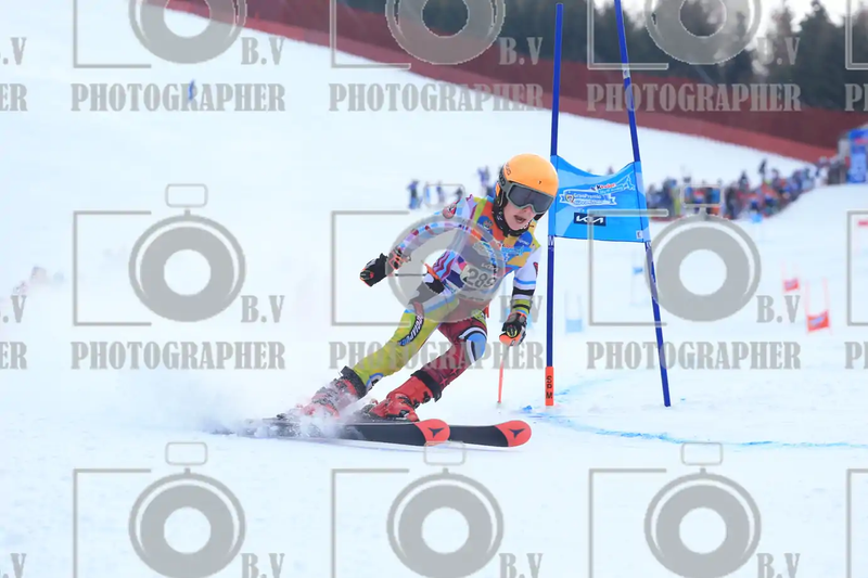 FINALE PROVINCIALE 2026