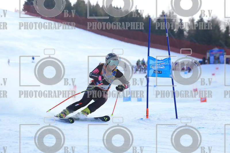 FINALE PROVINCIALE 2026