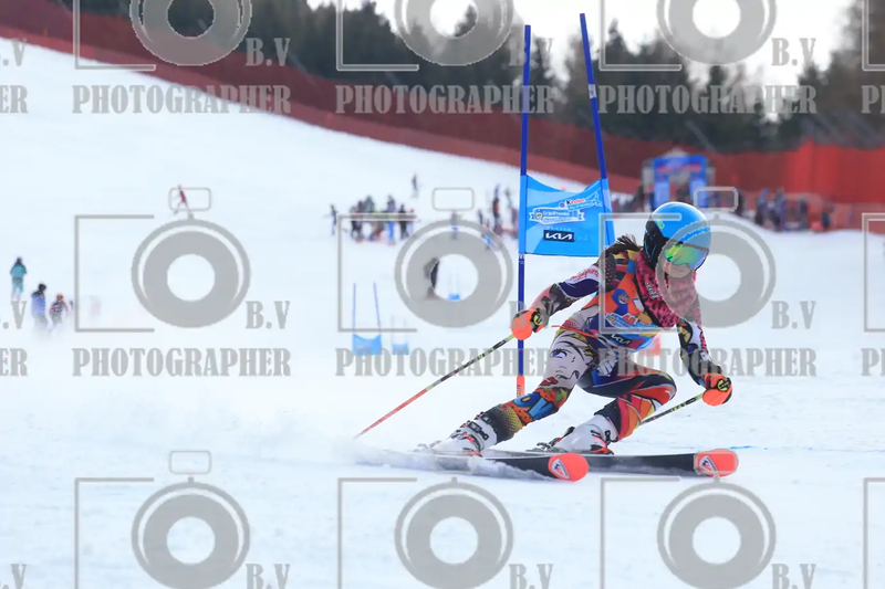 FINALE PROVINCIALE 2026