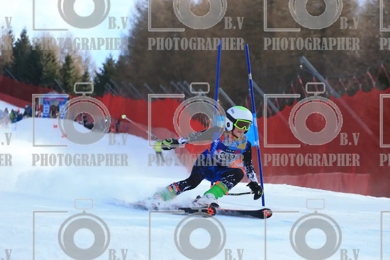 FINALE PROVINCIALE 2026