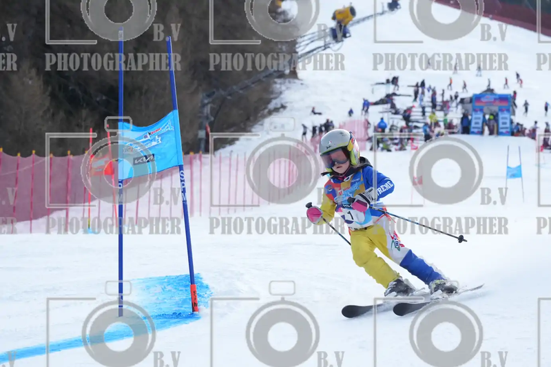 FINALE PROVINCIALE 2026